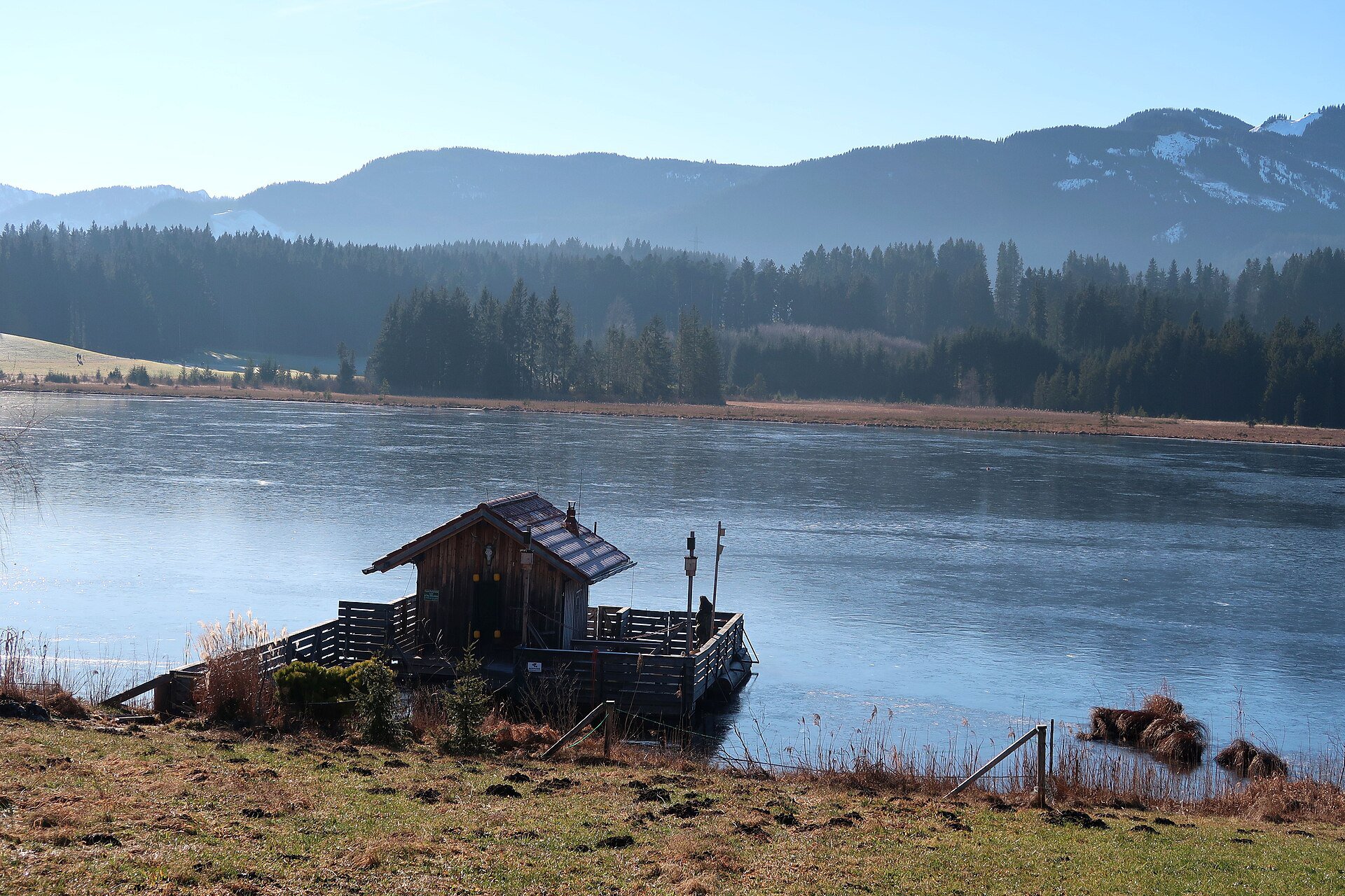 Alpenpanorama mit grünen Wiesen im Allgäu