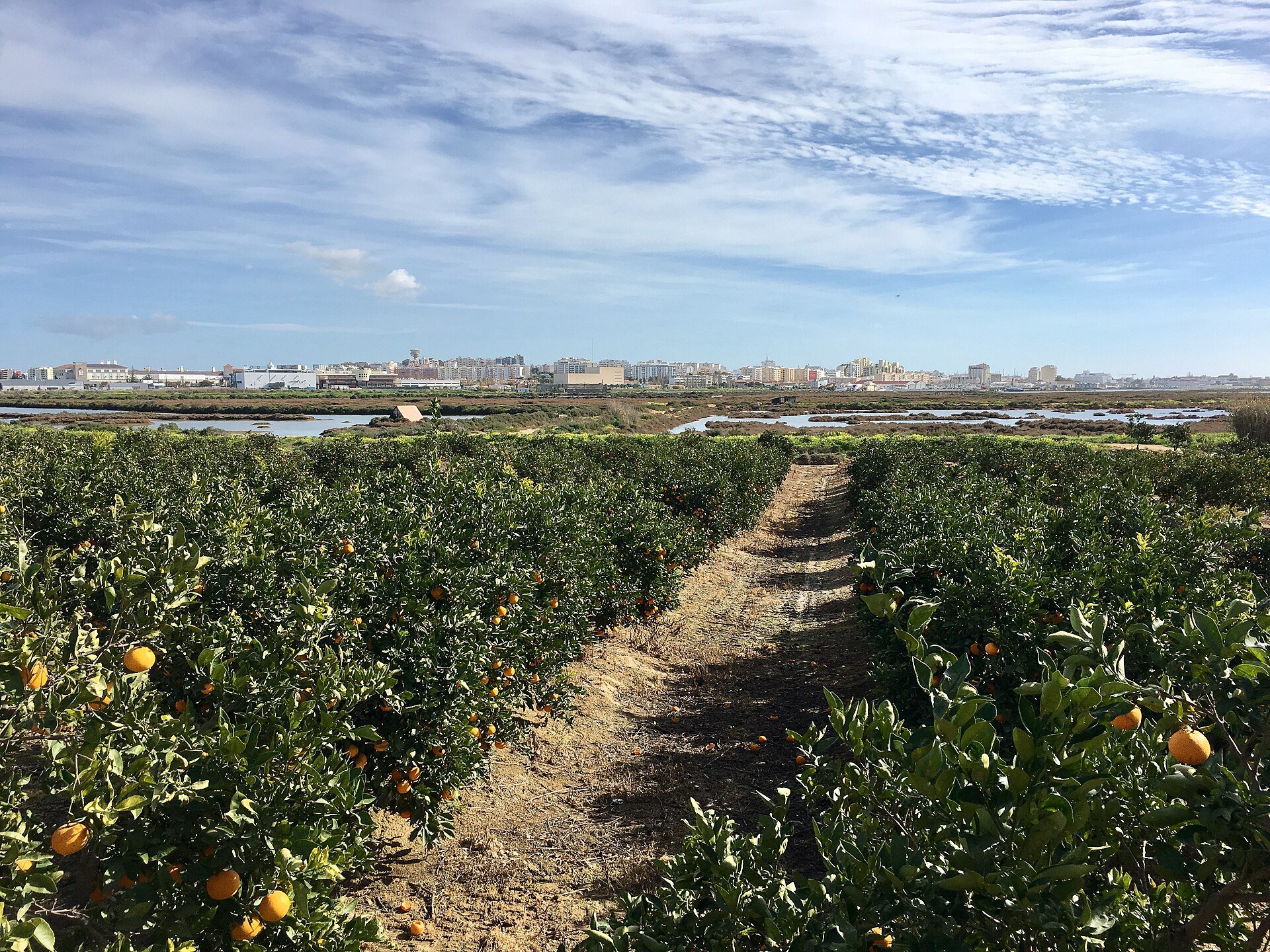 Altstadt von Faro an der Algarve