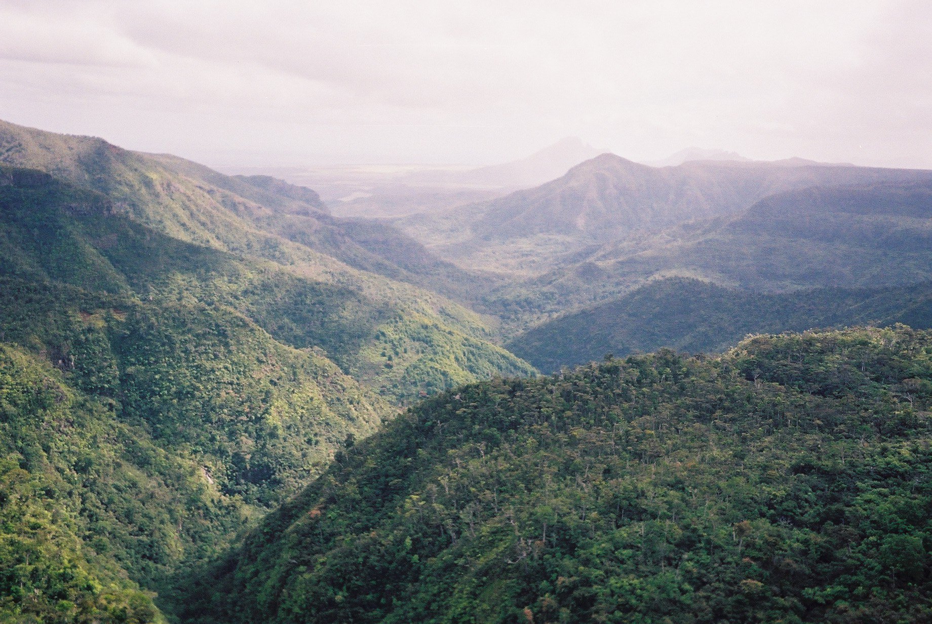Black River Gorges National Park – Größter Nationalpark der Insel mit endemischer Tierwelt.