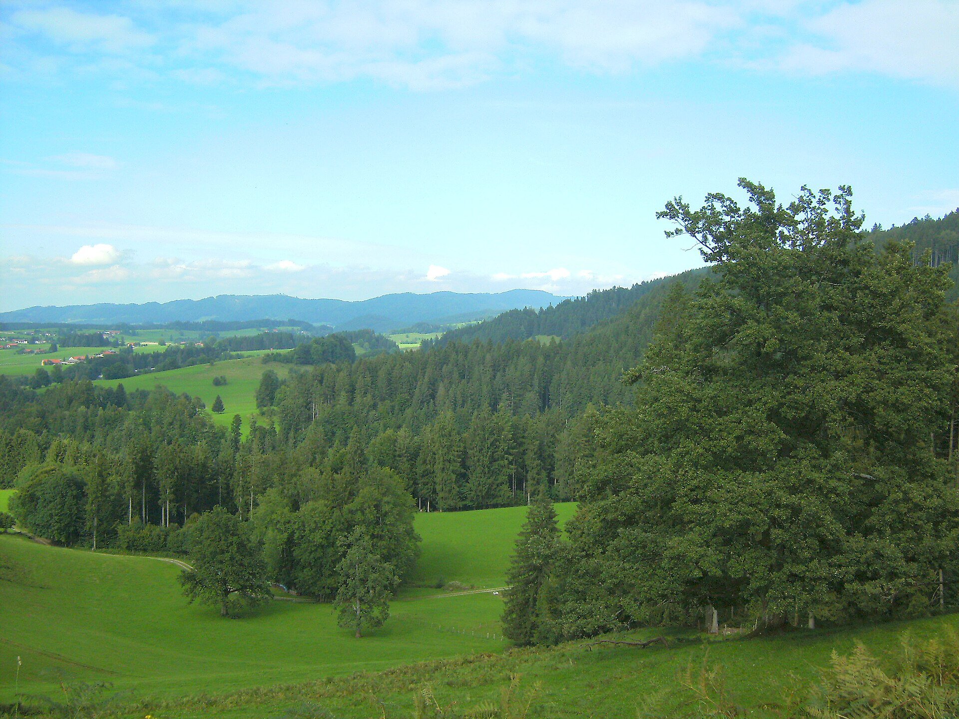 Eistobel – Tief eingeschnittene Klamm mit türkisfarbenem Wasser.