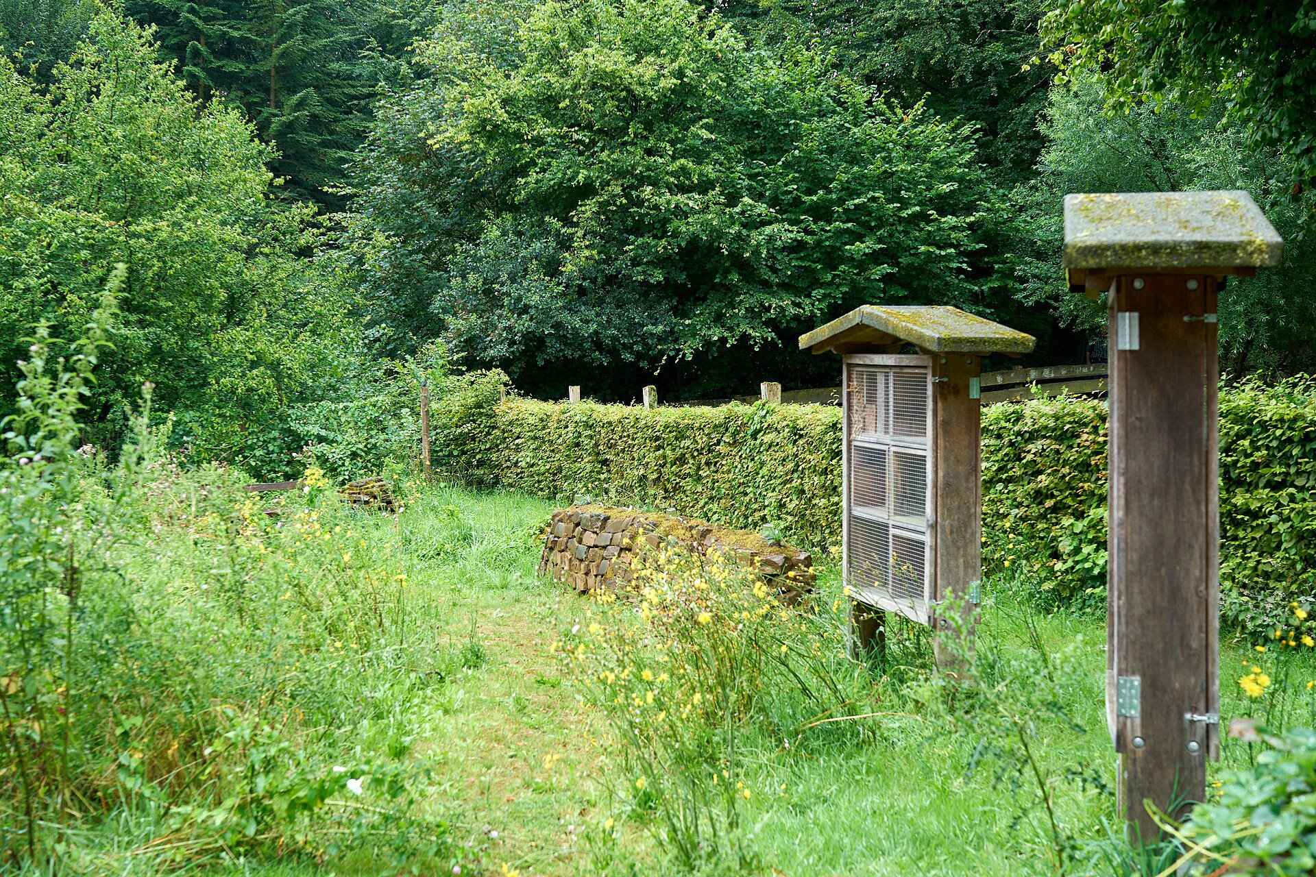 Grafenberger Wald – Ausgedehntes Waldgebiet mit Pferderennbahn.