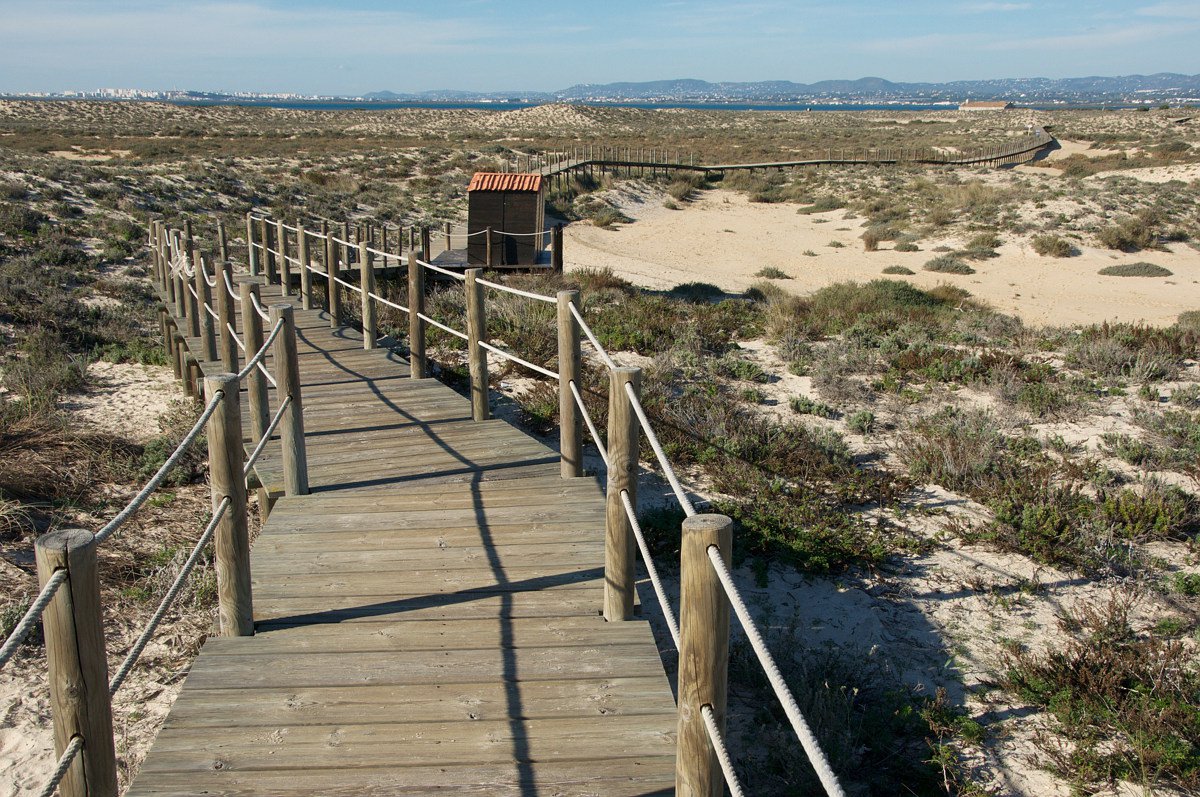 Ilha da Culatra – Autofreies Fischerdorf auf einer Sandinsel.