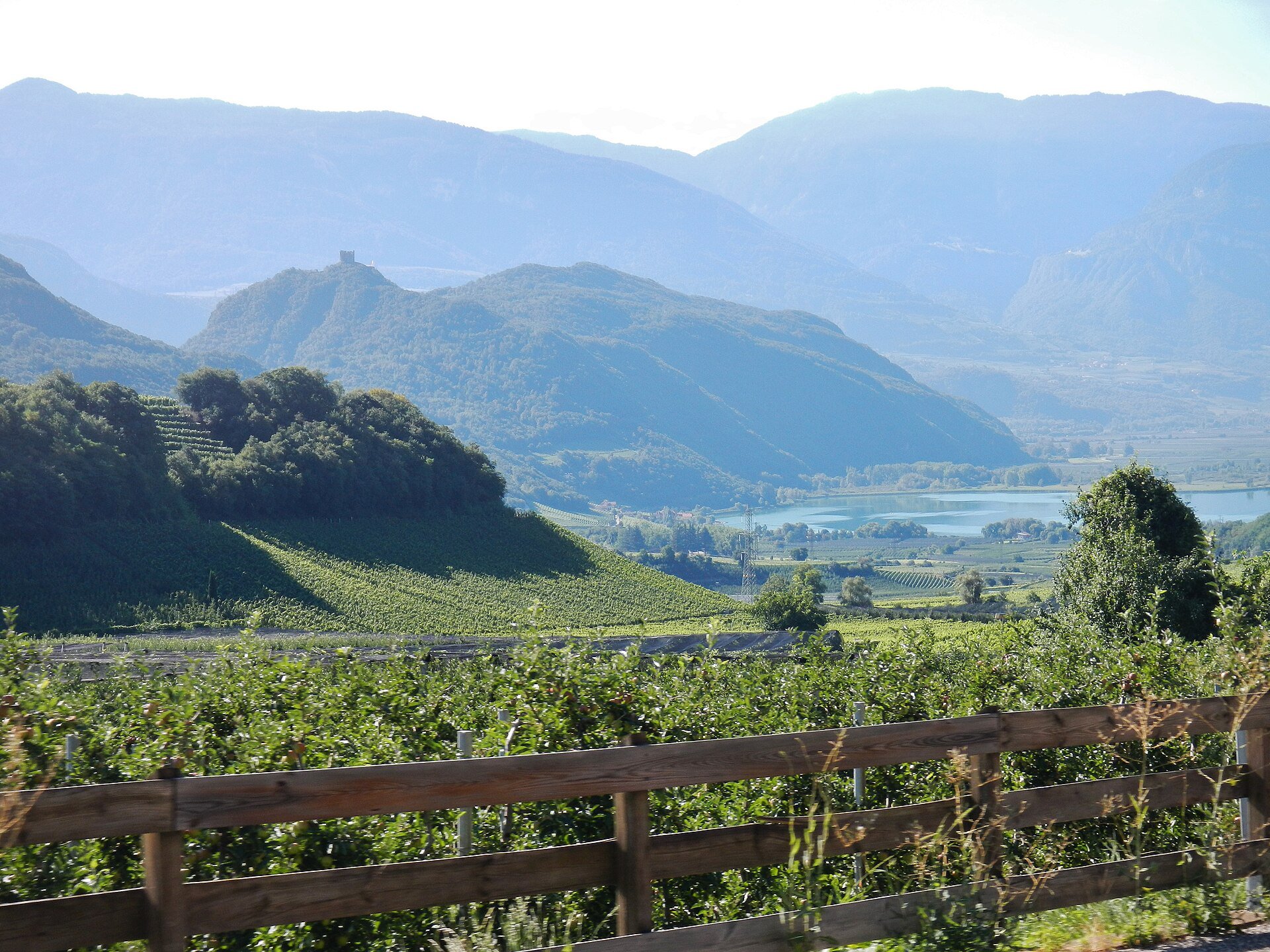 Kalterer See – Der wärmste Badesee der Alpen mit flachem Ufer und Weinbergblick.