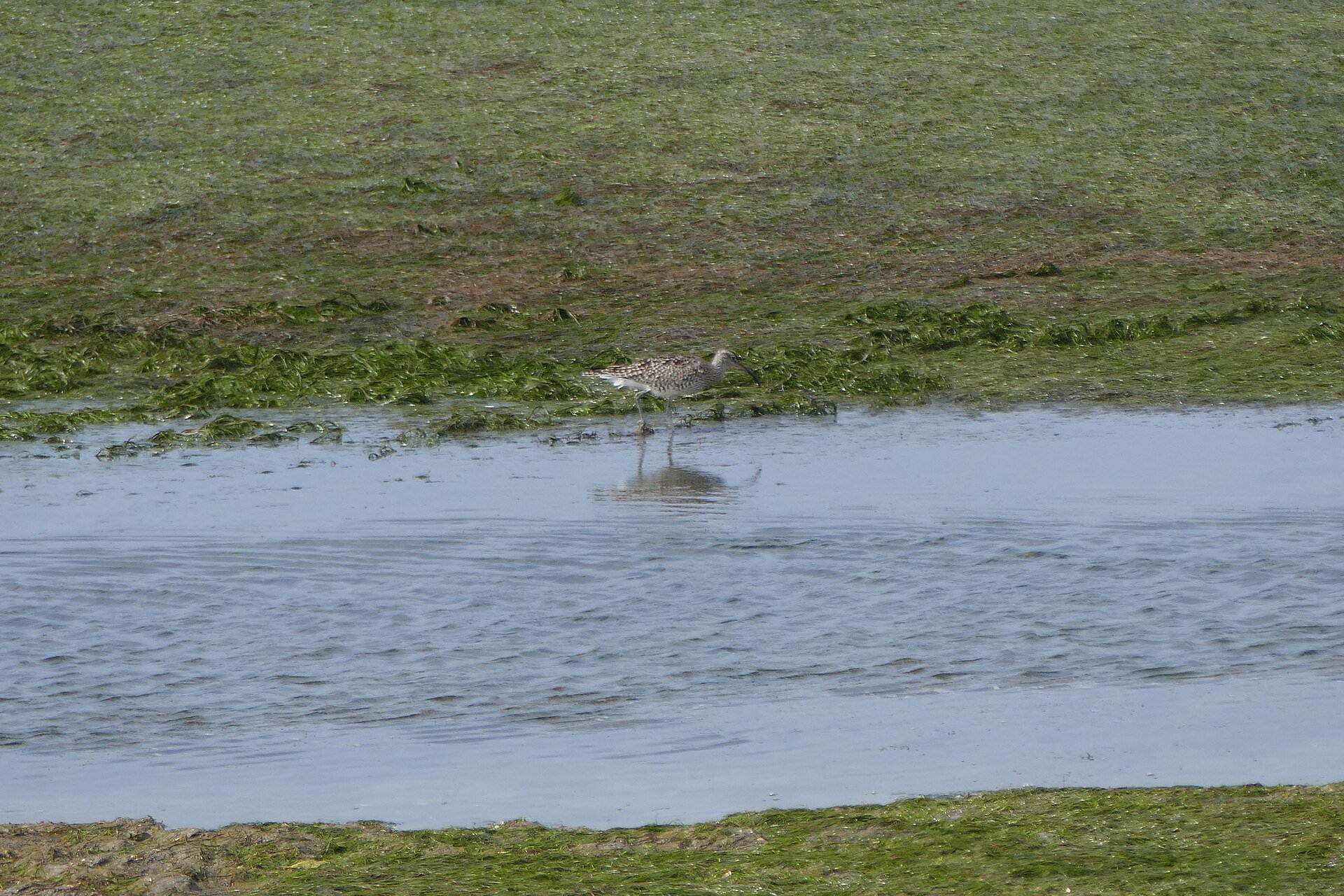 Naturpark Ria Formosa – Einzigartige Lagunenlandschaft mit Sandinseln.
